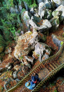 Sea of rocks in autumn, Hemer, Sauerland, North Rhine-Westphalia, Germany