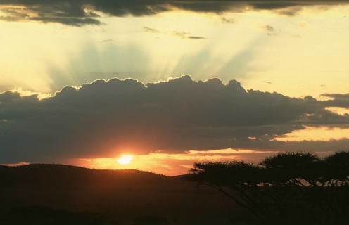 Sunset over Serengeti, Tanzania, Africa, June 2000, vintage, retro, old, historic