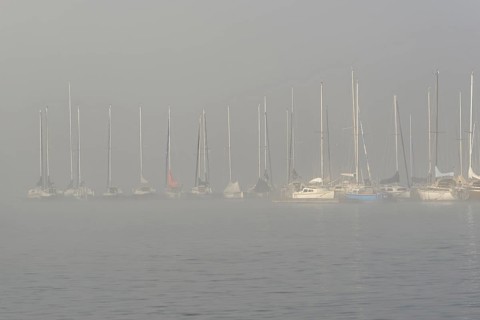 Hennesee, sailboats at boat dock in thick fog, Hennetalsperre, Sauerland-Rothaargebirge nature park
