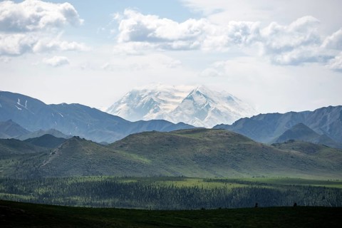 Tundra and glaciated peak of Denali or Mount McKinley, mountainous landscape, Denali National Park,