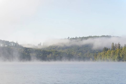 Hennesee, morning fog, Hennetalsperre, Sauerland-Rothaargebirge nature park Park, North