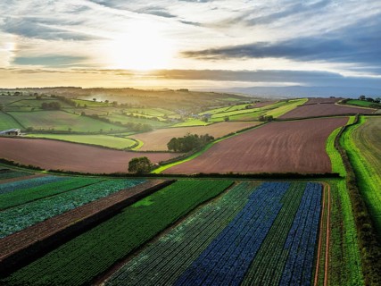 Colours of autumn Fields and Farms over Sheldon from a drone, Torbay, Devon, England, United