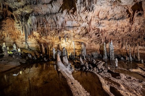 Stalactites and stalagmites, rock formations in a stalactite cave with water basin, Grotta del