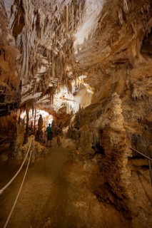 Stalactites and stalagmites, rock formations in a stalactite cave, Grotta del Fico, Gulf of Orosei,