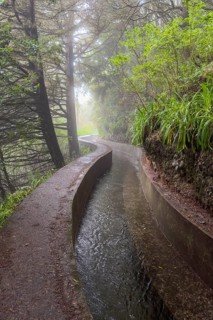PR17 Pinaculo e Folhadal hiking trail, Levada, Irrigation Canal, Madeira, Portugal