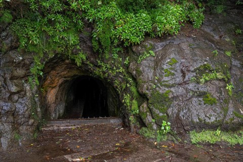 Tunnel on the PR17 Pinaculo e Folhadal hiking trail, Levada, irrigation channel, Madeira, Portugal