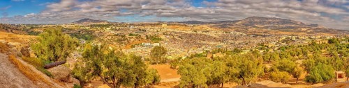 Extensive view of an urban landscape with olive trees and hills, Morocco, Fez, panorama