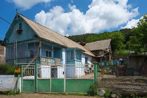 Rural scene with a blue house and several beehives in the foreground, surrounded by nature,
