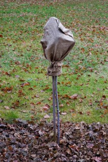Frost protection for plants in the garden, winter, Germany