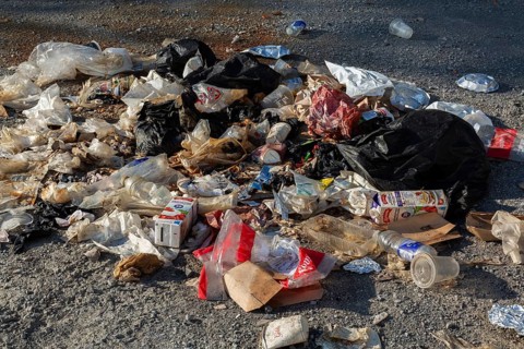 Recyclable plastic, paper and cardboard items discarded on the ground in public park, Quebec,