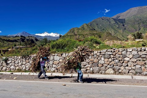 Two people carry wood in a picturesque mountain landscape along a stone-walled road, two Peruvian