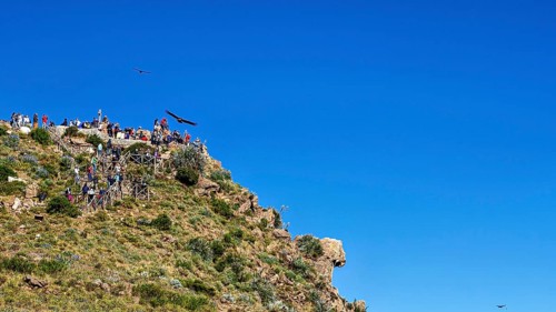 Visitors gather on a rocky viewpoint and watch birds in the clear sky, tourists at Crux de Condor