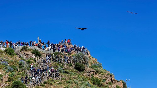 A group of people on a rocky viewpoint watch the birds in the sky, tourists at Crux de Condor to