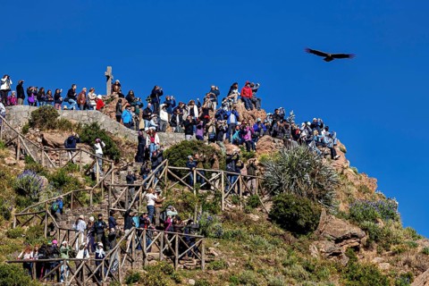 Dense crowd on a steep cliff with birds flying over a sunny sky, tourists at Crux de Condor to see