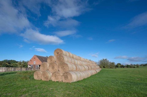 Stacked round straw bales of the agricultural cooperative in a meadow, in the back of the cowshed,