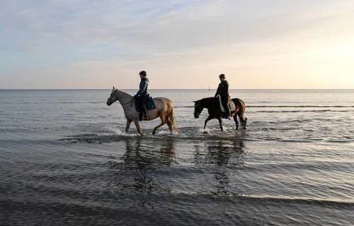 Two female riders ride their horses through the shallow water of the Baltic Sea at sunrise,