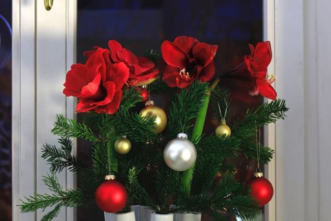 Christmas bouquet with Christmas tree balls and amaryllis, Germany