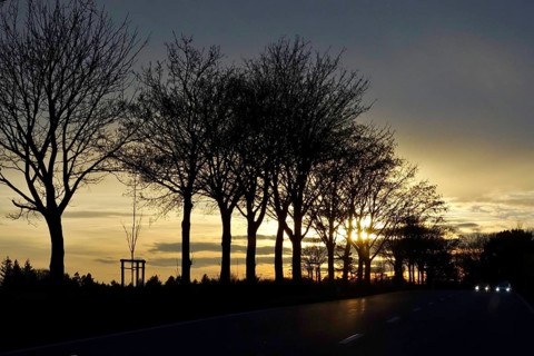 Street in late autumn, sunset, Germany