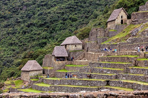 Traditional Inca huts and terraces on a green mountainside near Machu Picchu, The ruins of the Inca