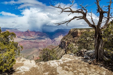 Light winter storm weather over The Grand Canyon in northern Arizona