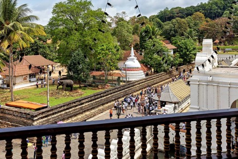 View of a temple area with people and an elephant statue surrounded by green nature, The Temple of