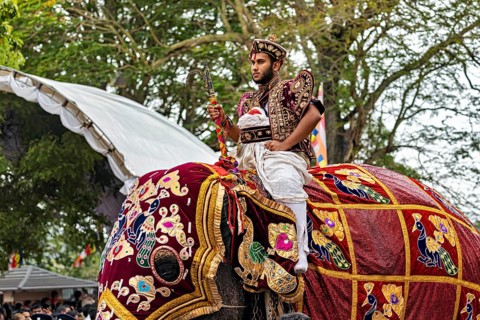 A rider in traditional clothing on a richly decorated elephant in detail, The Perahera Parade in