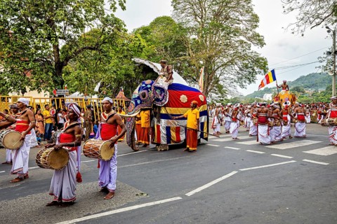 Parade with drummers and an elephant surrounded by celebratory spectators, The Perahera Parade in