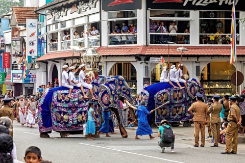 Parade with two decorated elephants and spectators in a busy street, The Perahera Parade in Kandy