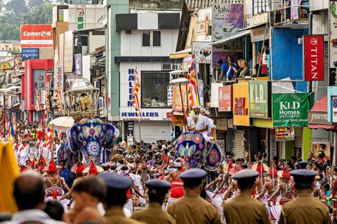 Decorated elephants at a parade with spectators and colorful buildings, The Perahera Parade in