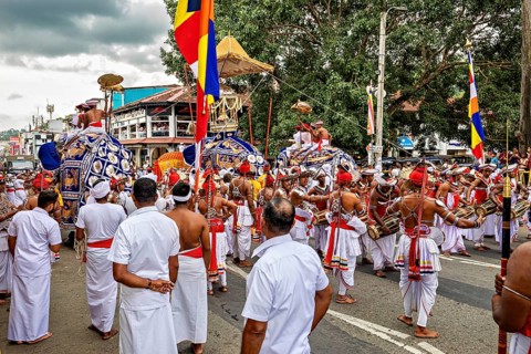 Festive procession with decorated elephants and people in traditional clothing, The Perahera Parade