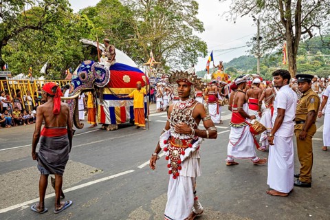 Lively festival parade with dancers, an elephant and a large crowd of spectators, The Perahera
