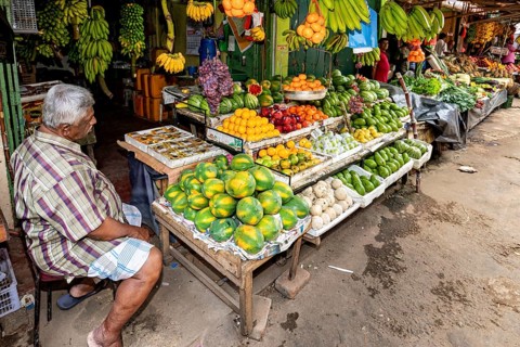 An elderly dealer at a stand with a variety of tropical fruits, dealer in the market halls of Kandy