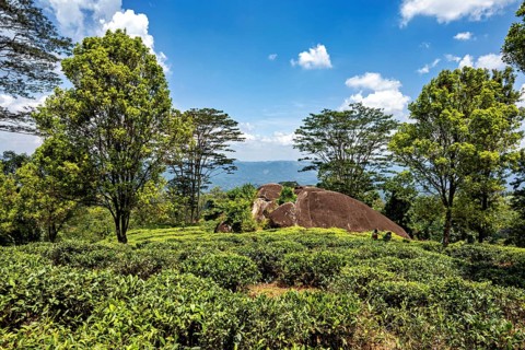 Wide landscape with green trees and rocks under a blue, cloudy sky, mountains in the background,