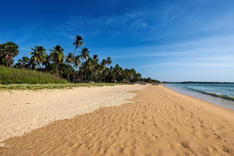 Extensive sandy beach with palm trees and peaceful sea, blue sky, quiet atmosphere, Trincomalee