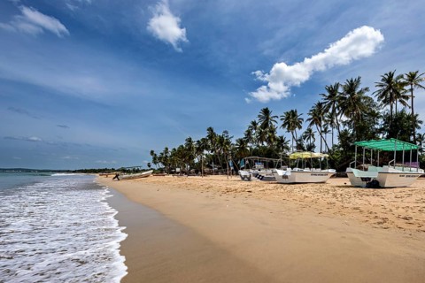 Boats on quiet beach with palm trees and cloudy blue sky, peaceful atmosphere, Trincomalee beach in