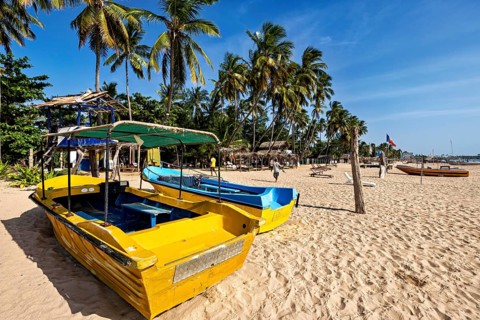 Yellow boats on sandy beach with palm trees and blue sky, holiday atmosphere, Trincomalee beach in