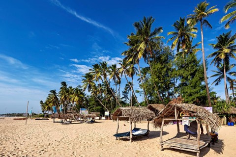 Palm trees and beach huts under a blue sky, relaxed atmosphere on the beach, Trincomalee beach in