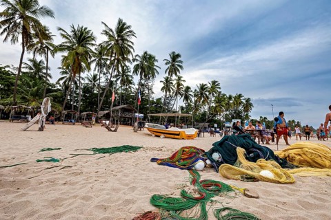 View of a tropical beach with palm trees, fishing nets and boats on the shore, Traditional