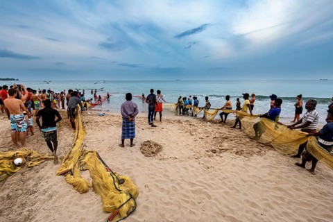 Many people on the beach fishing together with long nets, traditional fishermen on Trincomalee