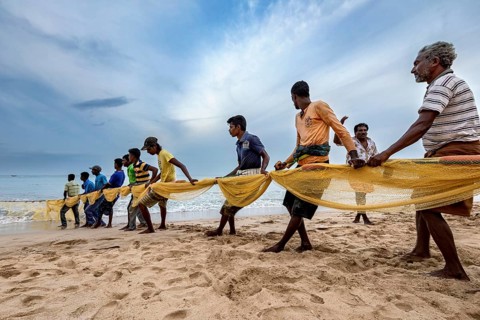 A group works together on the beach to pull a fishing net out of the water, Traditional fishermen