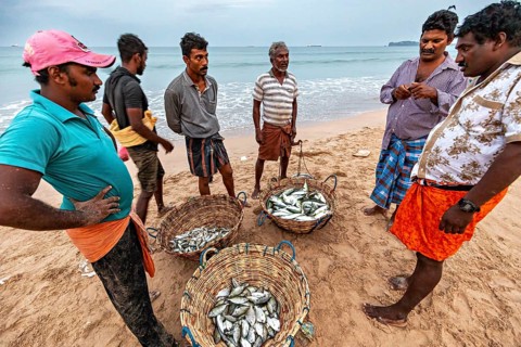 Men on the beach talking about caught fish in baskets, the sea in the background, Traditional