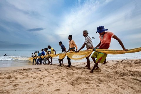 Men on the coast pull a large net while standing in a line, traditional fishermen on Trincomalee