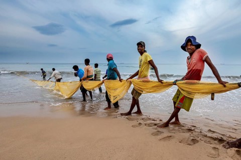 Group of people on the beach leading a fishing net into the water, collective action, traditional