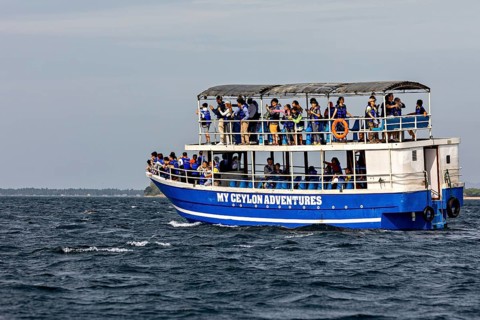A tour boat full of people on a body of water under a clear sky, whale watching tour boat with