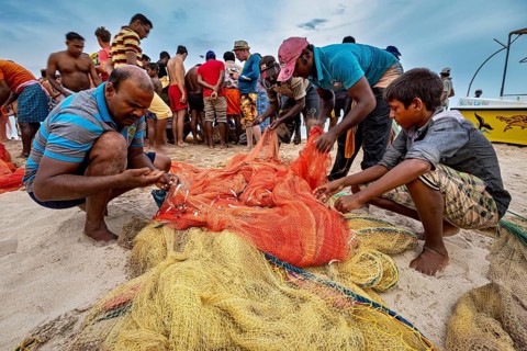Group of men on beach sorting and inspecting fishing nets, traditional fishermen on Trincomalee