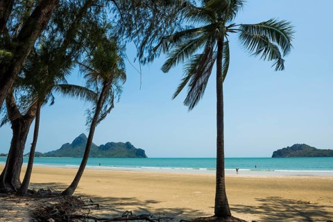 Lonely beach and ironwood trees, Casuarina Equisetifolia, Ao Manao Beach, Prachuap Khiri Khan,