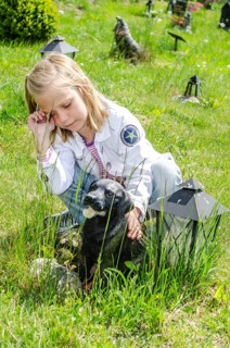 Grieving blonde 7-year-old girl at her dog's grave at pet cemetery in Ystad, Skåne County, Sweden,