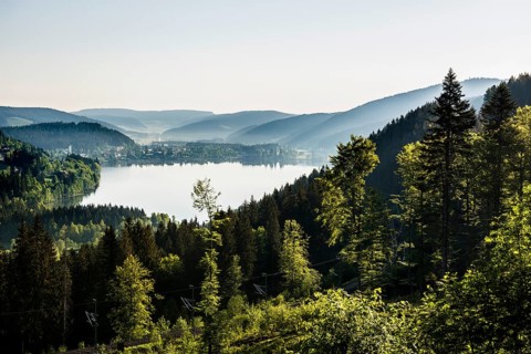 Titisee, Black Forest, Southern Black Forest, Baden-Württemberg, Germany