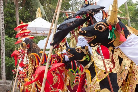 Preparing for a corpse cremation, (Ngaben), Ubud, Bali, Indonesia