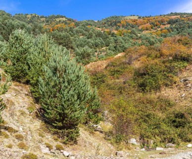 Mountain landscape Guarrinza - La Mina, Aragon Subordan river valley, Parque Natural Valles